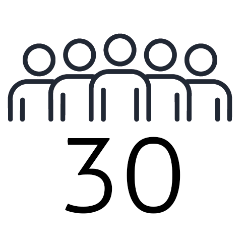 30 Jahre Erfahrung Icon