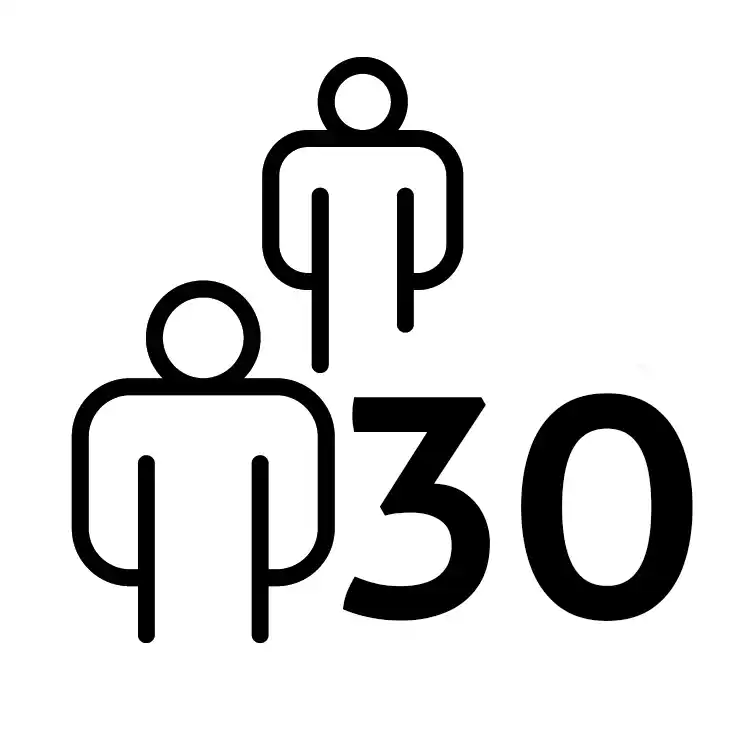 30 Jahre Erfahrung Icon